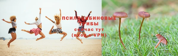 марки lsd Абинск