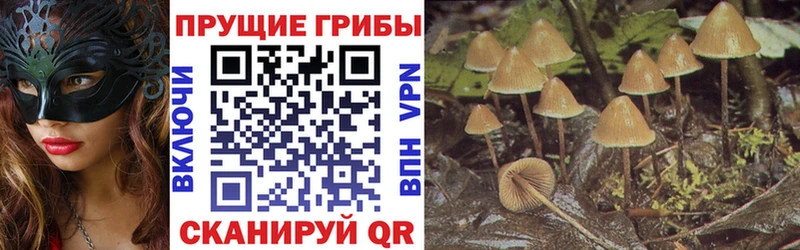 Галлюциногенные грибы Psilocybine cubensis  где можно купить наркотик  Кяхта 