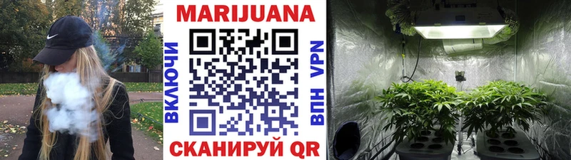 МАРИХУАНА планчик  Кяхта 